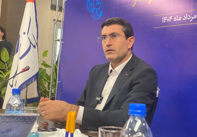 مدیرعامل بانک سینا: بدهکار بانک مرکزی نیستیم