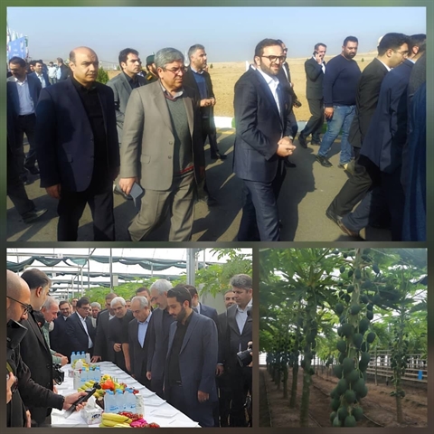 بازدید مدیرعامل بانک کشاورزی از پروژه راهبردی گوزل طبیعت ارس